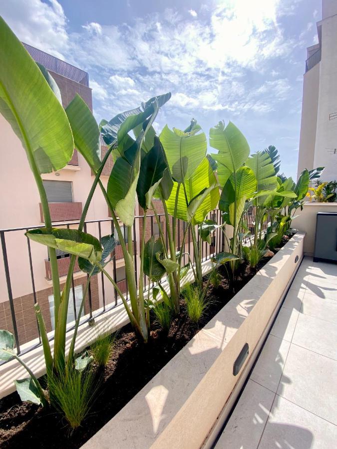 ميورقة Hotel-Apartment With Big Terrace المظهر الخارجي الصورة